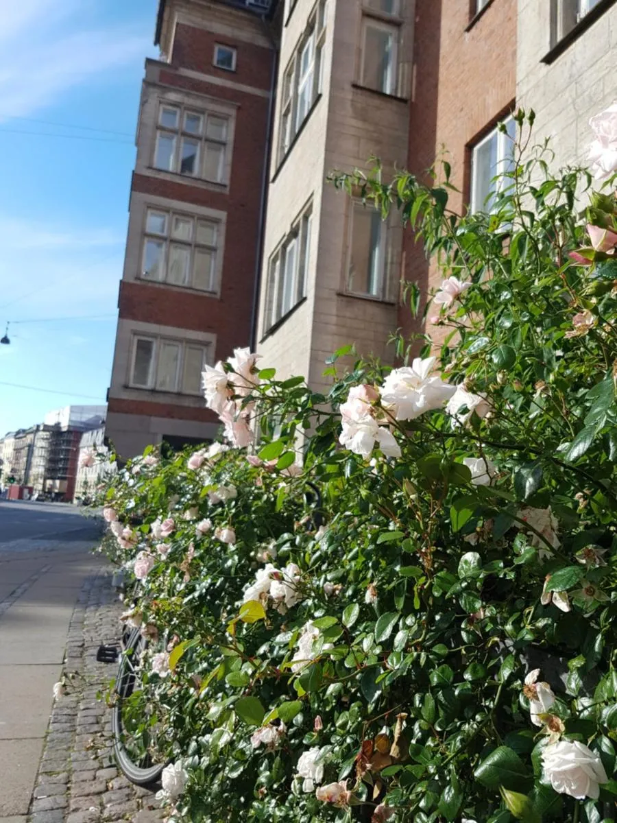 Image 5 of Aaboulevard Apartment – 170sqm