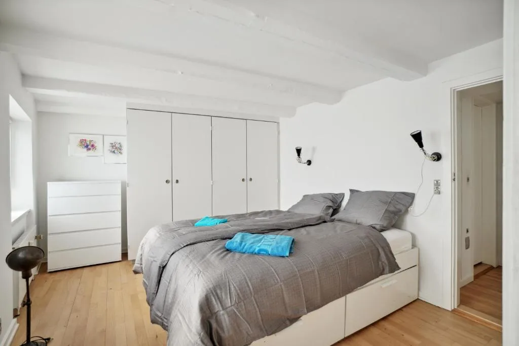 Image of Come Stay in Laksegade: 1BR 300m from KGS Nytorv