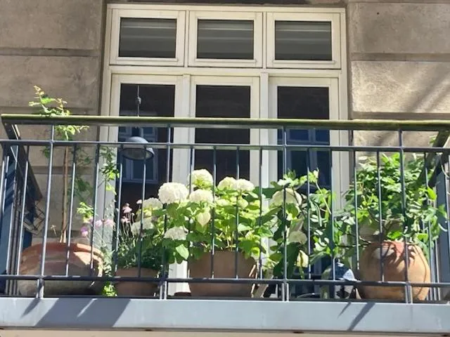 Image of Cosy apartment Christianshavn