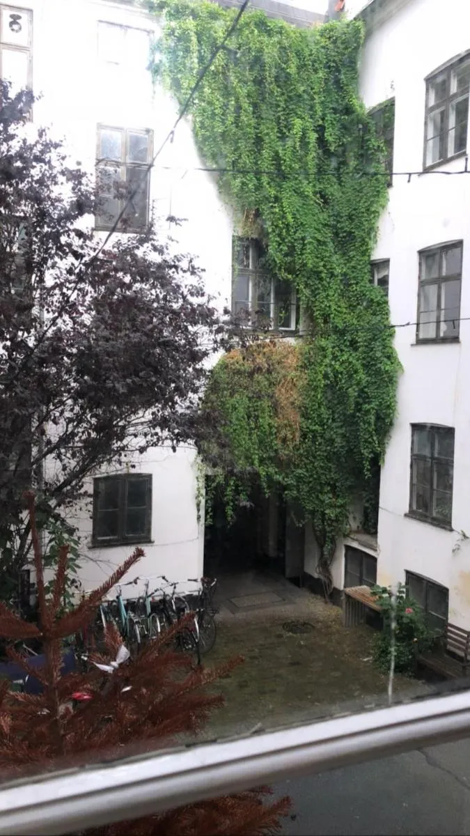 Image 6 of Cozy Studio Apartment right next to the City Hall