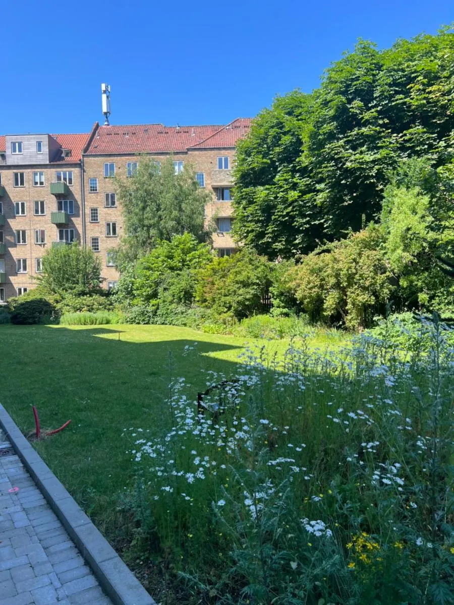 Image 5 of Spacious apartment in central Copenhagen