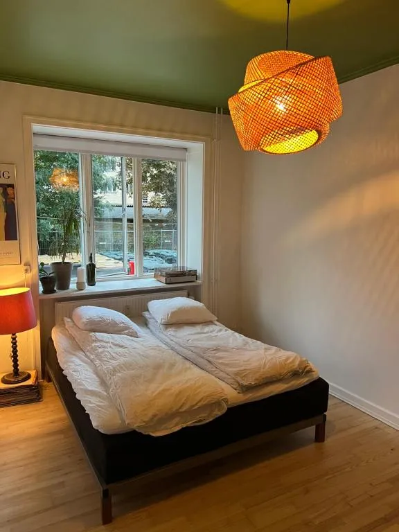 Image of Spacious apartment in central Copenhagen